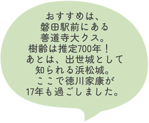 おすすめは、磐田駅前にある善道寺大クス。樹齢は推定700年！　あとは、出世城として知られる浜松城。ここで徳川家康が17年も過ごしました。