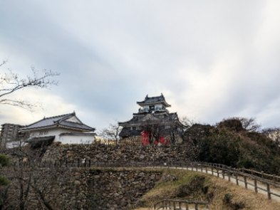 荒々しい石垣が映える浜松城