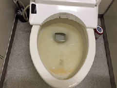 中央区日本橋トイレ清掃前.gif