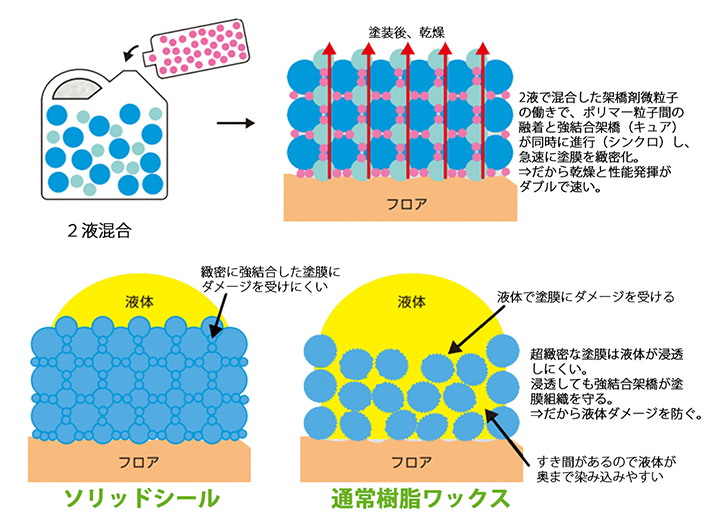 ソリッドシール8 .jpg